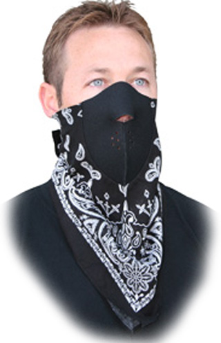 Black Paisley Neodanna, Half Face Mask